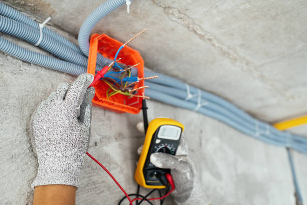 Best Generator Installation Services  in Madison Heights, VA